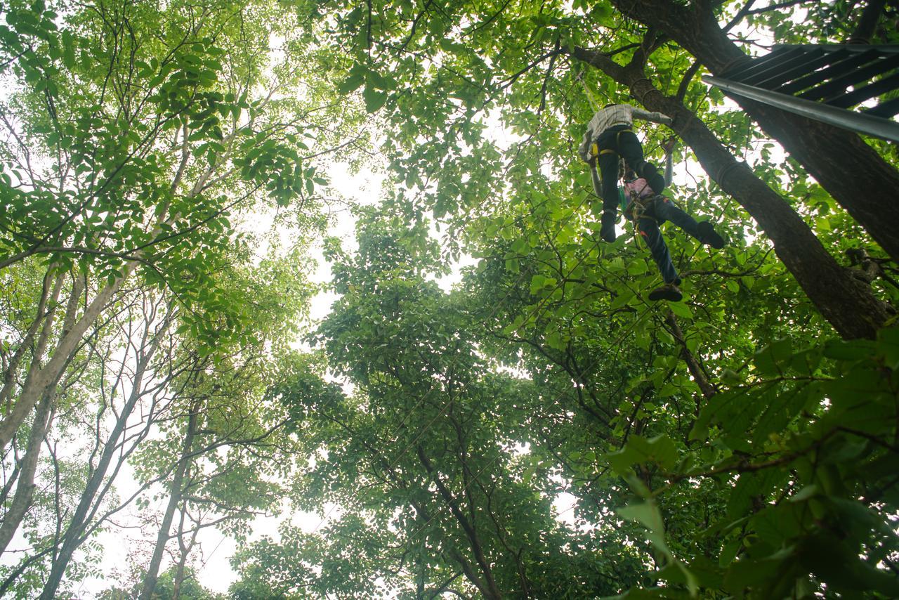 Nature Trails Sajan, Vikramgad Kudān Exteriér fotografie